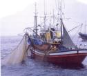 El Partido Popular lamenta la eliminación de las Jornadas Infantiles de Pesca por parte del cuatripartito